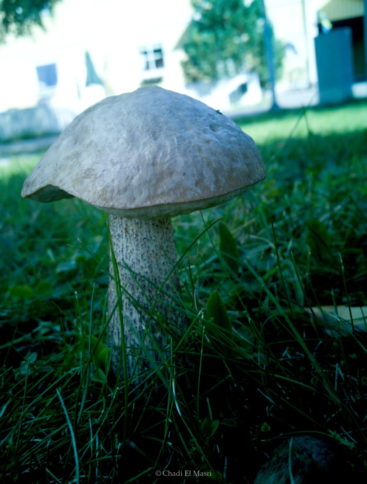 Photo from September 9, 2011