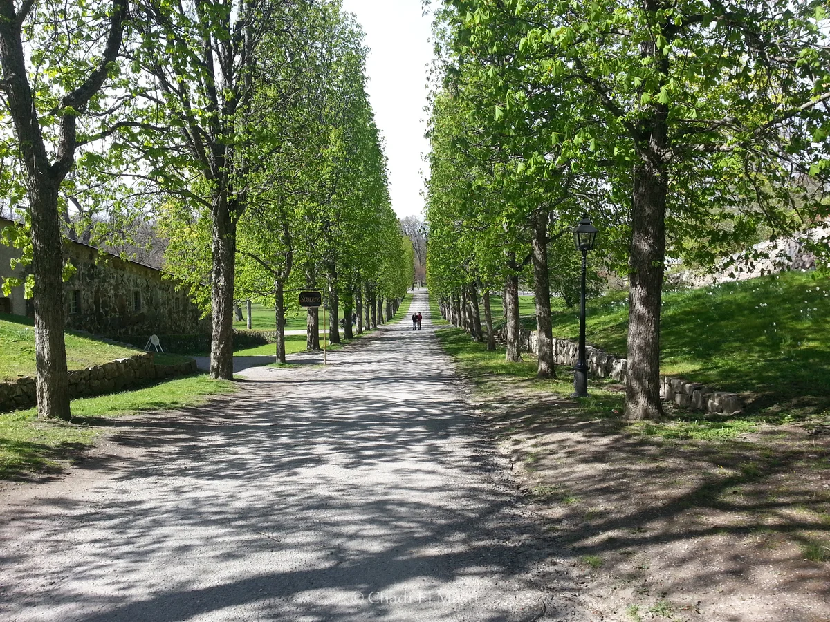 Photo from May 7, 2015