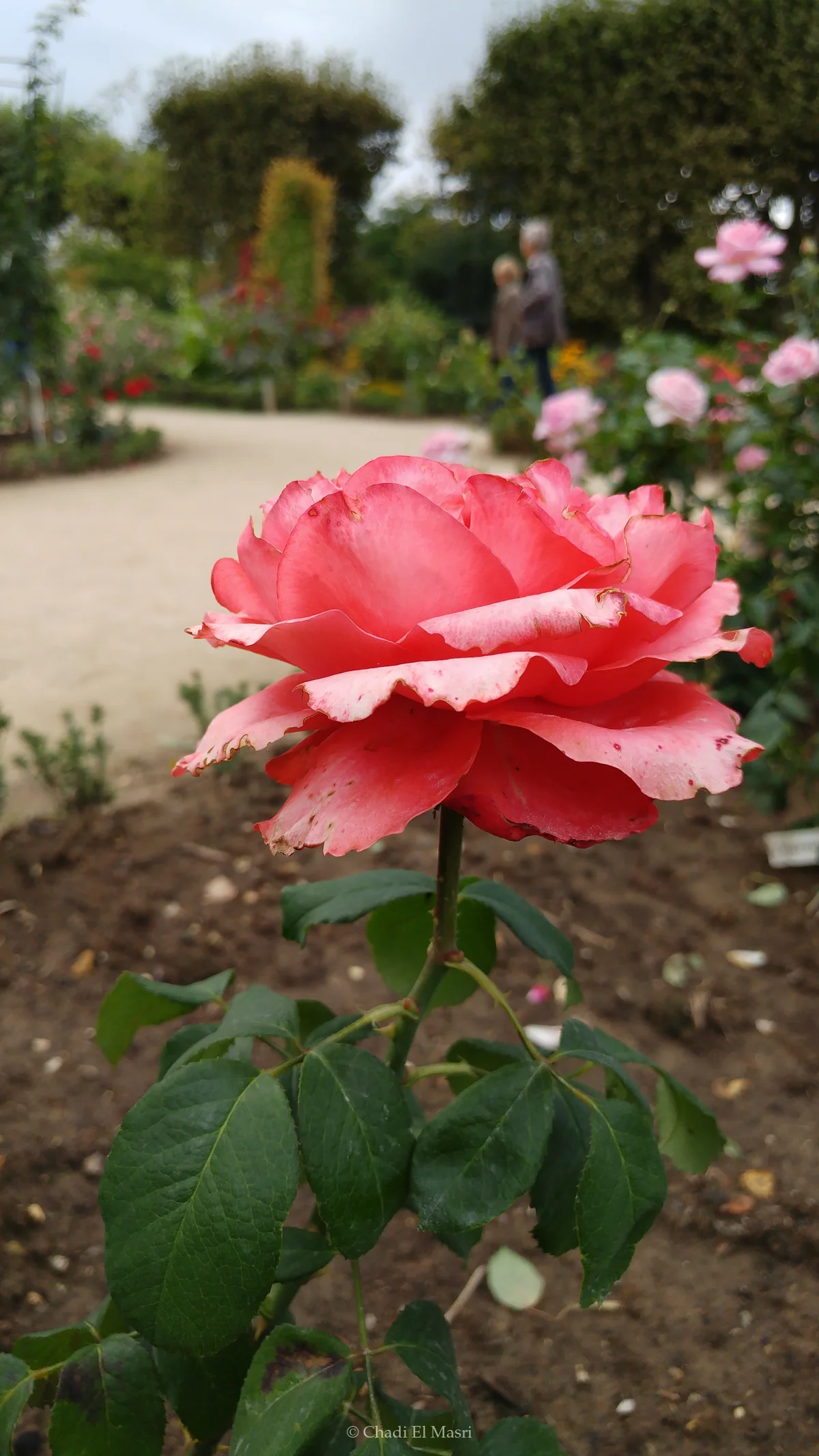 Photo from September 18, 2016