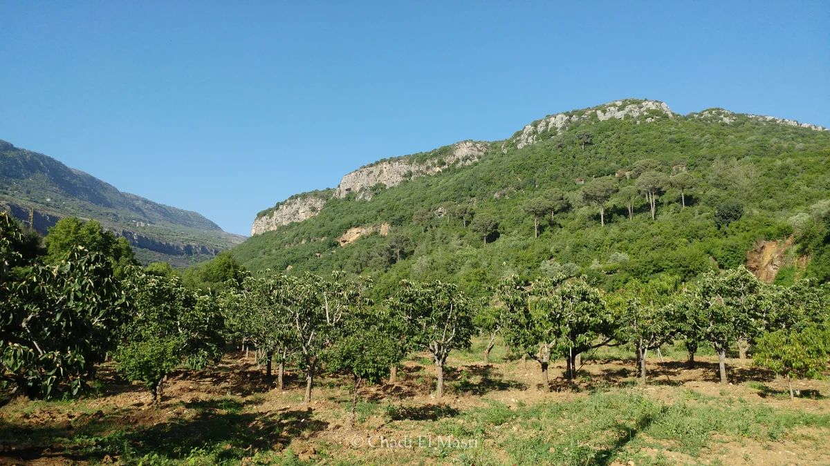 Photo from May 7, 2017