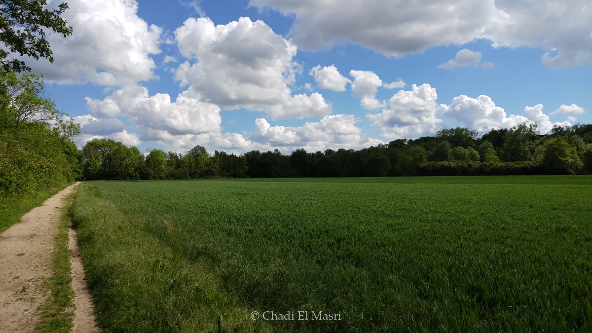 Photo from May 20, 2017