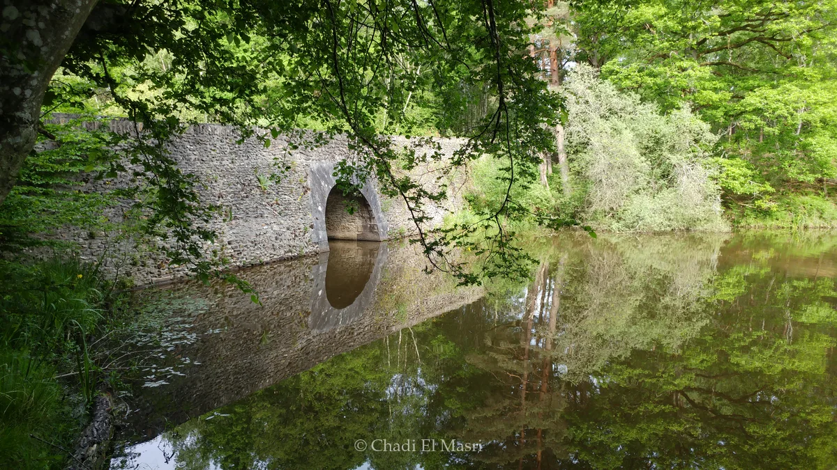 Photo from May 27, 2017