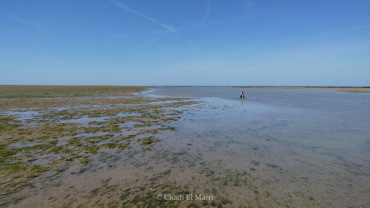 Photo from June 16, 2017