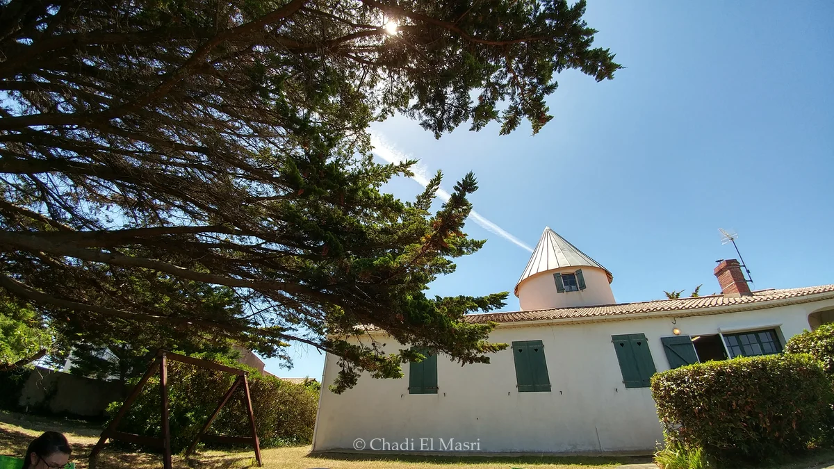 Photo from June 16, 2017