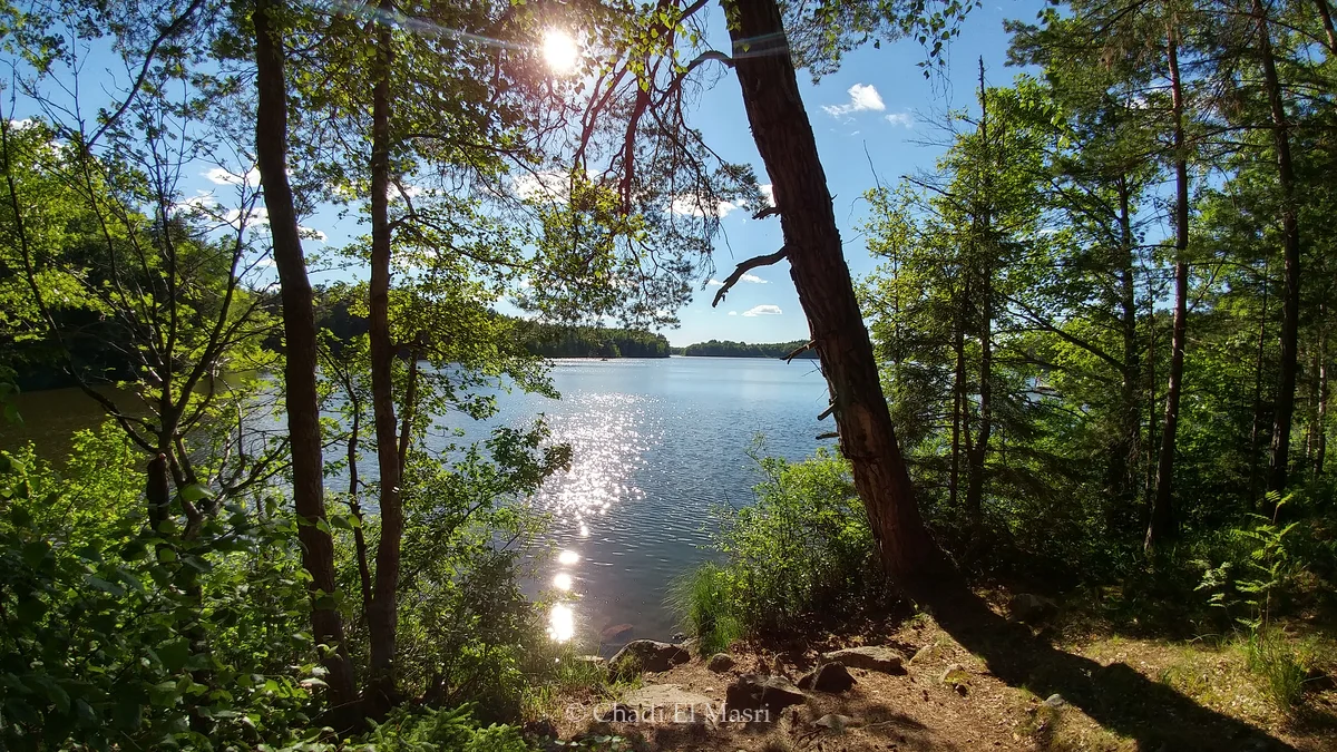 Photo from July 1, 2017