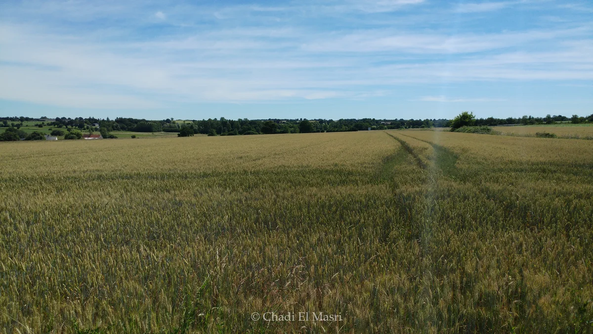 Photo from June 23, 2018