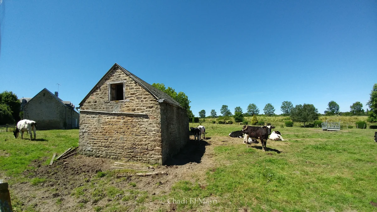 Photo from June 23, 2018