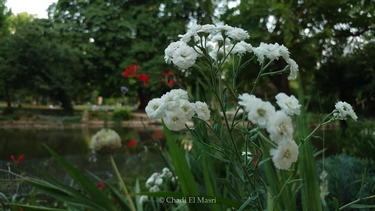 Photo from July 8, 2018