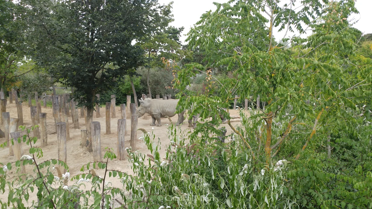 Photo from July 14, 2018