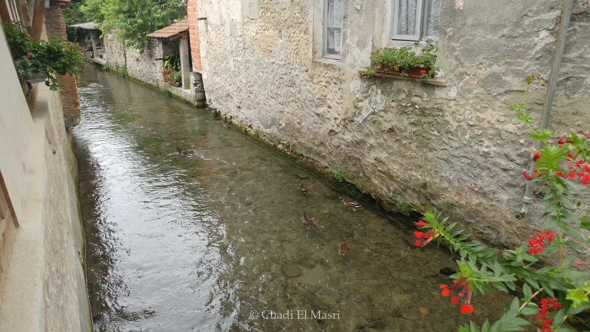 Photo from August 15, 2018