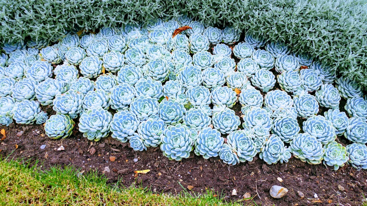 Photo from September 22, 2018