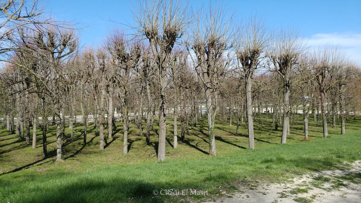 Photo from March 30, 2019