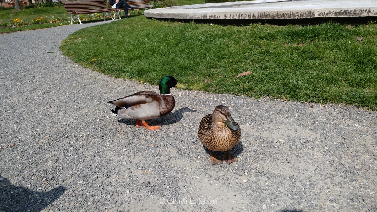 Photo from April 14, 2019