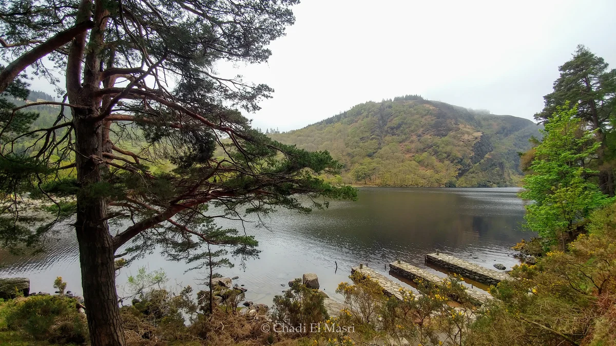 Photo from April 29, 2019