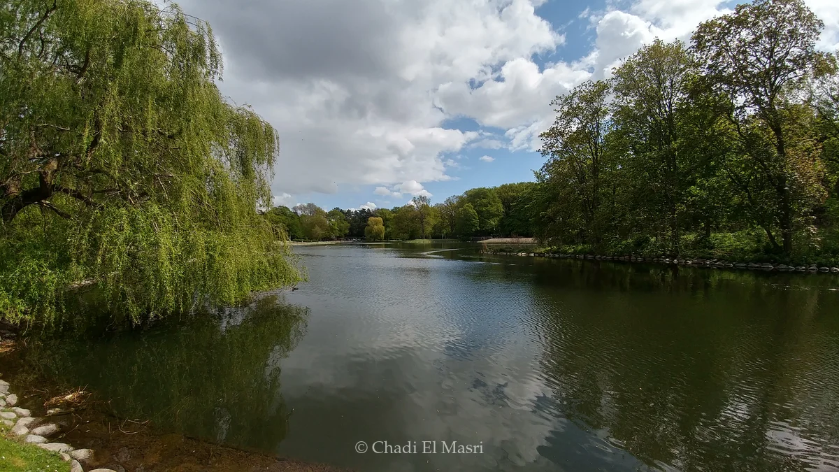 Photo from May 7, 2019