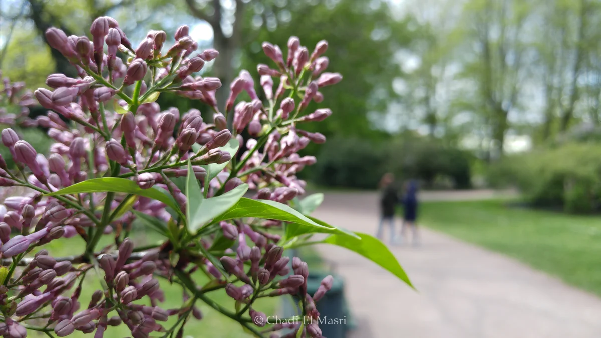 Photo from May 7, 2019