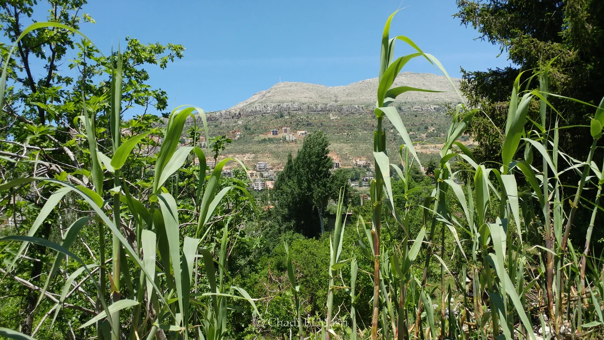 Photo from May 19, 2019