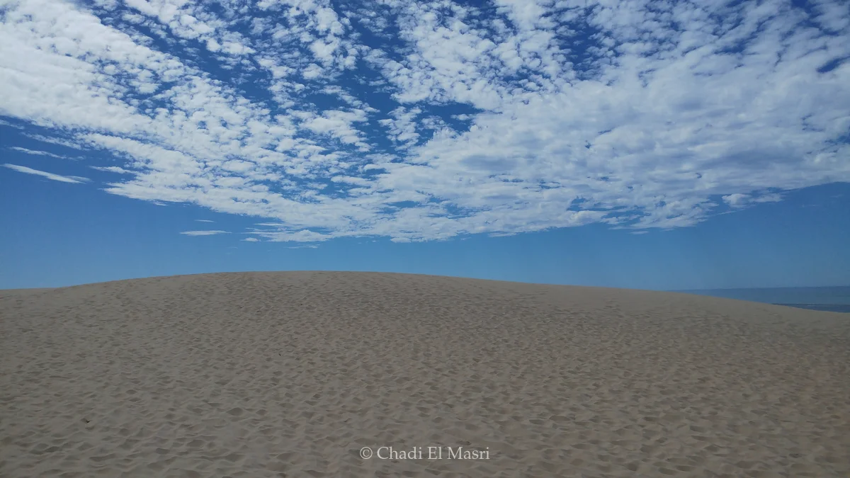 Photo from August 19, 2020