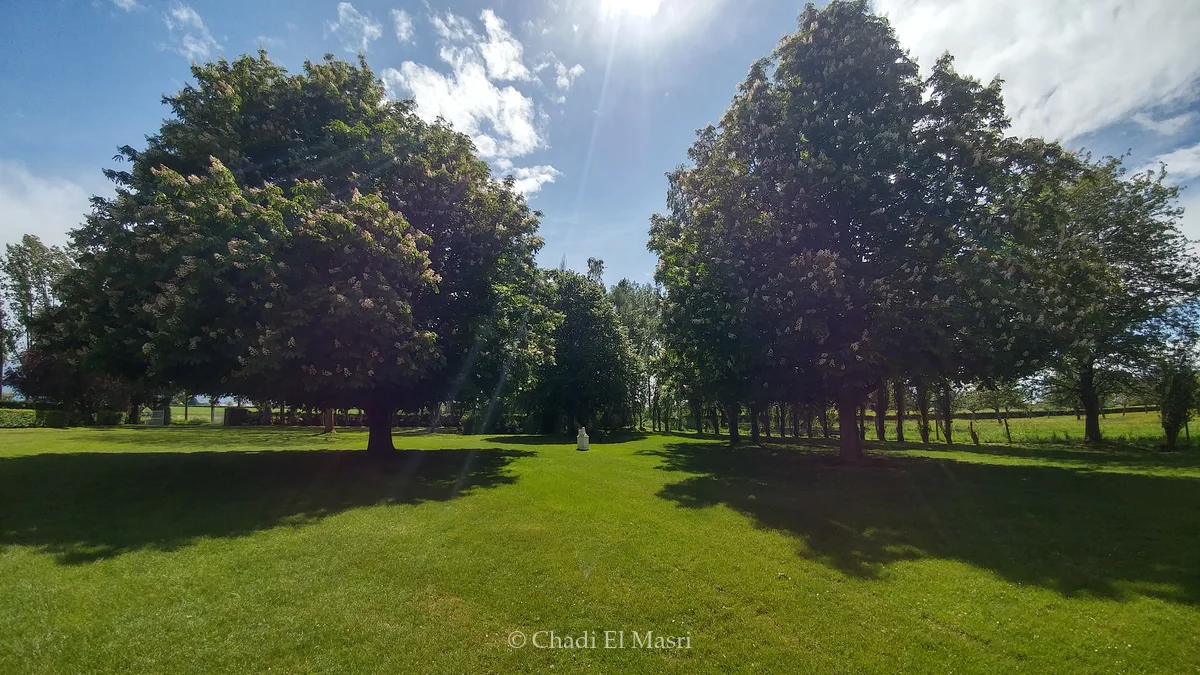 Photo from May 24, 2021