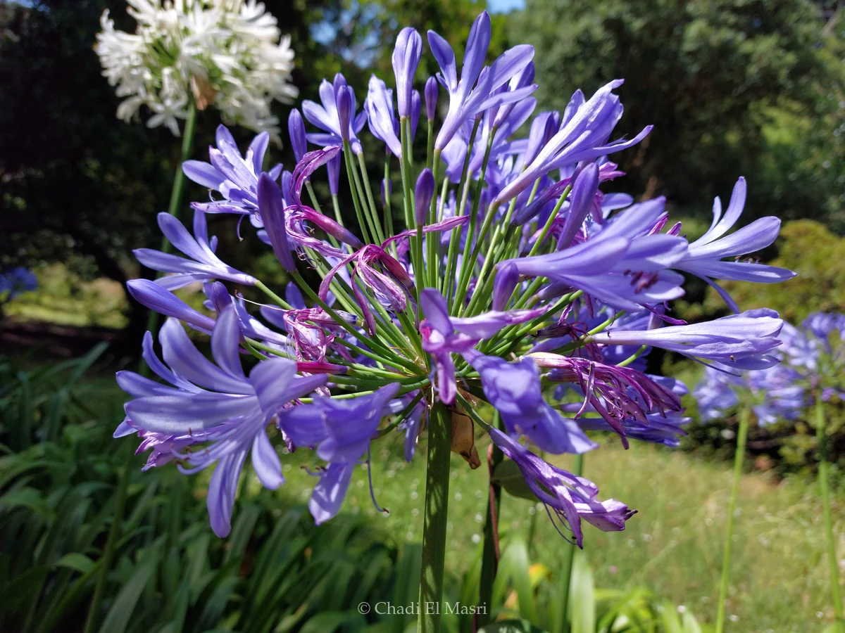 Photo from July 12, 2021