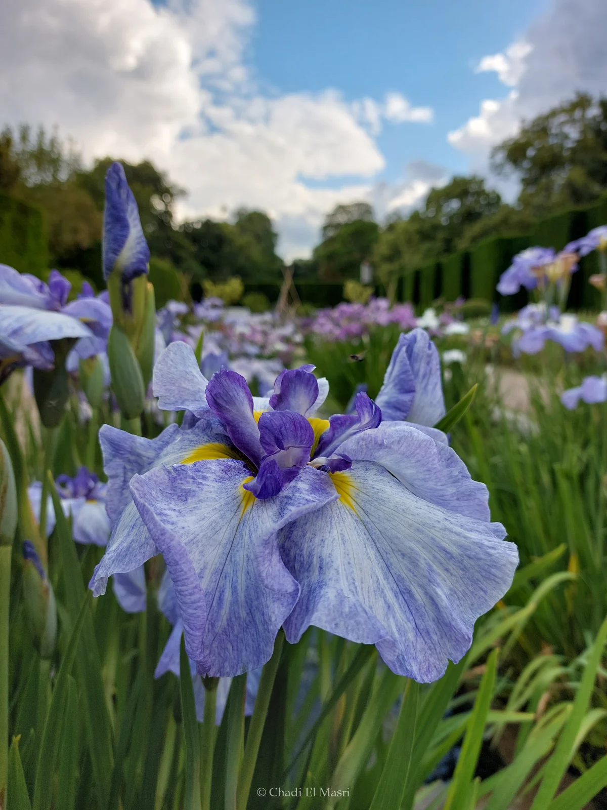 Photo from June 5, 2022