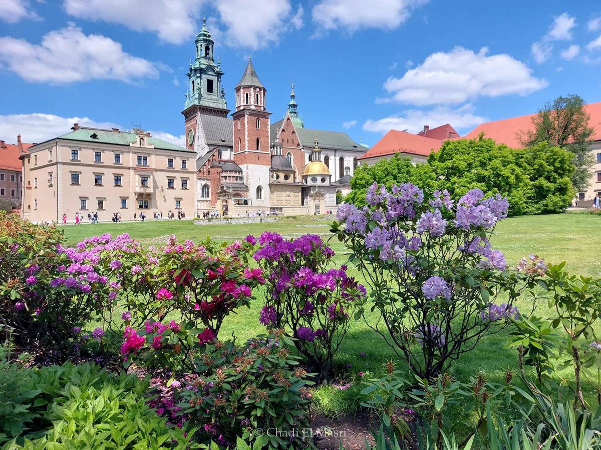 Photo from June 11, 2022