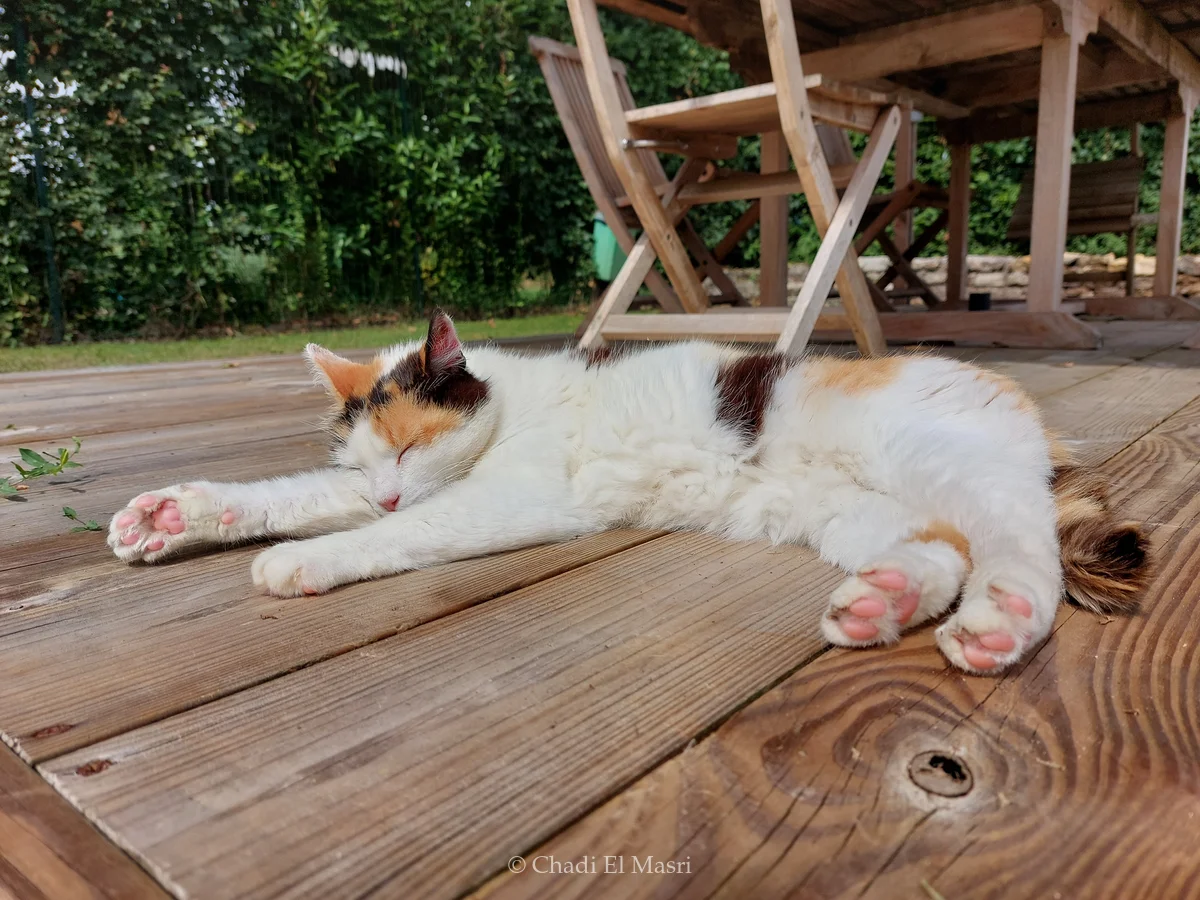 Photo from June 26, 2022