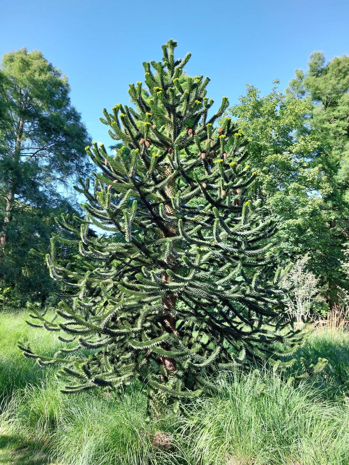 Photo from July 3, 2022