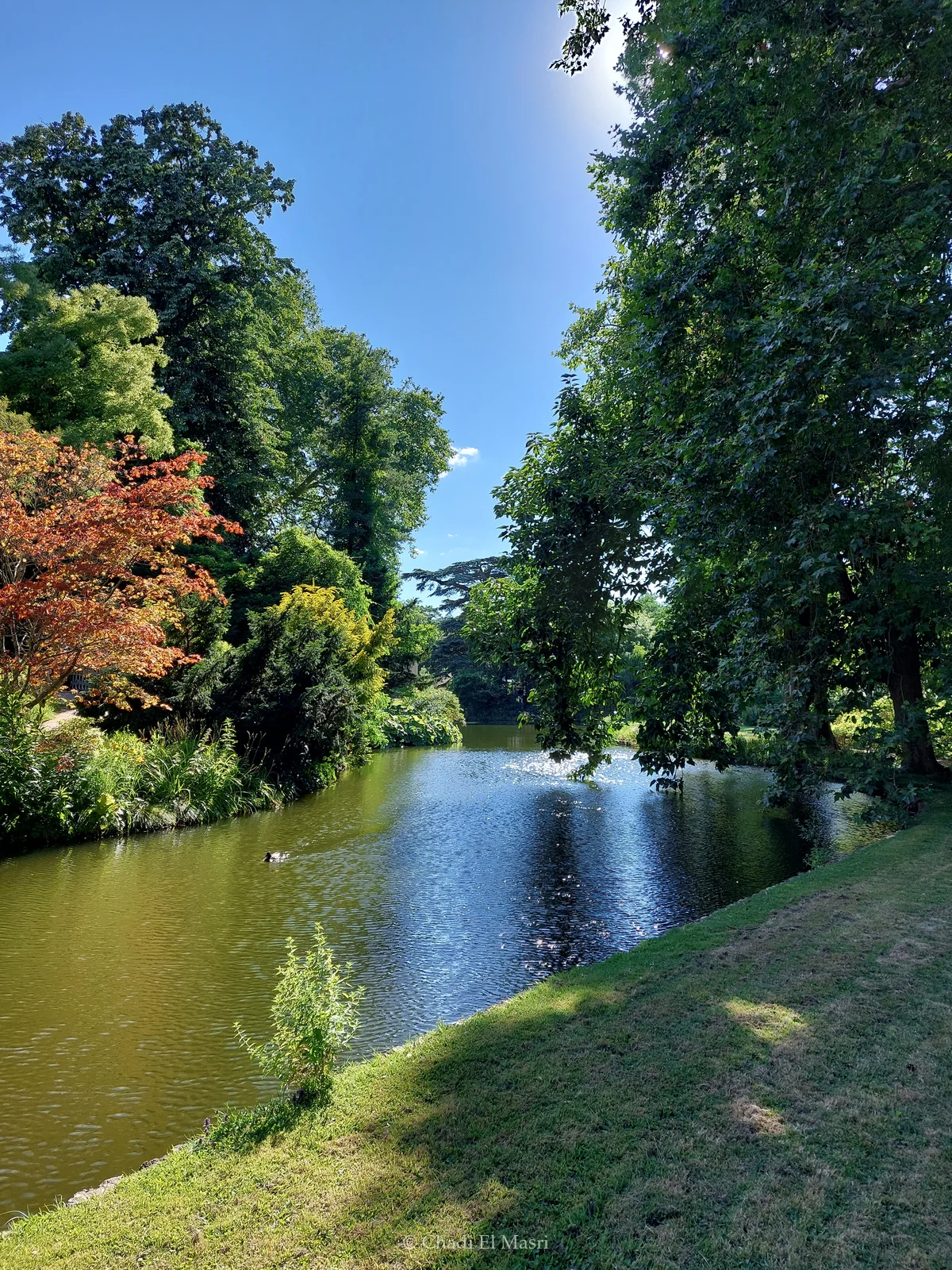 Photo from July 3, 2022