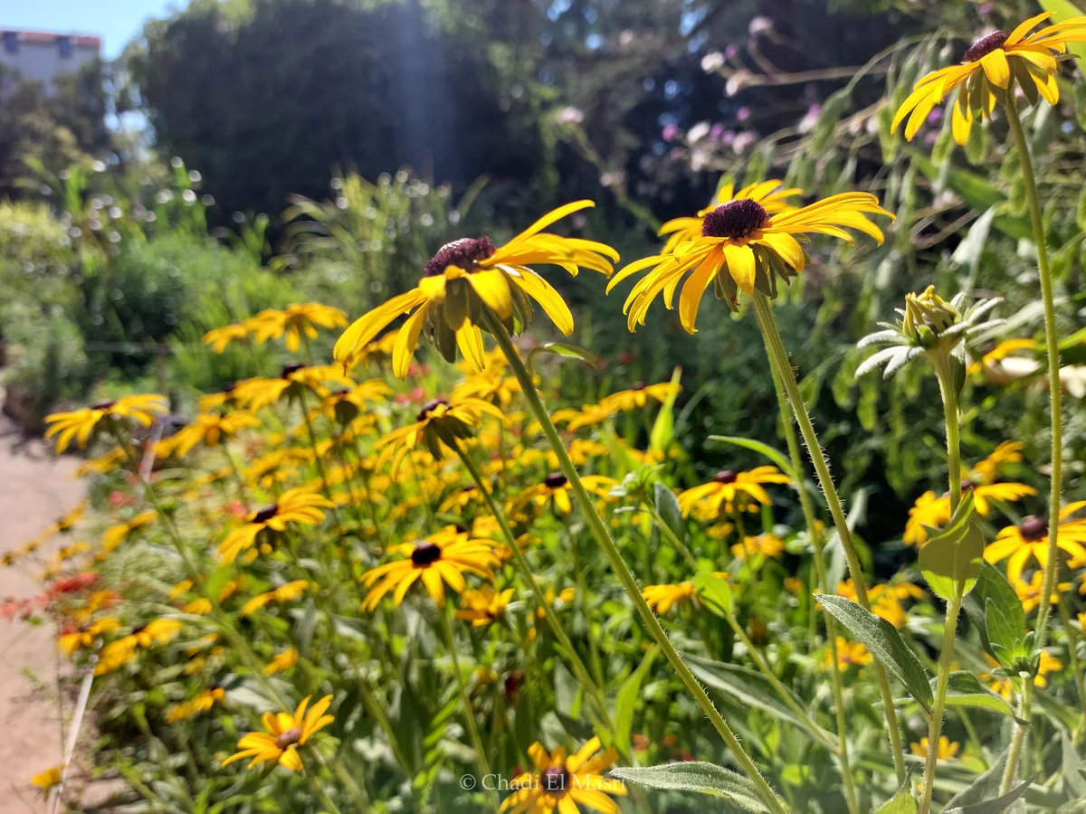 Photo from July 17, 2022