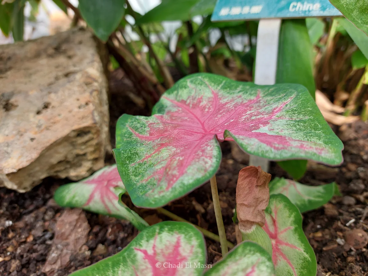 Photo from March 25, 2023