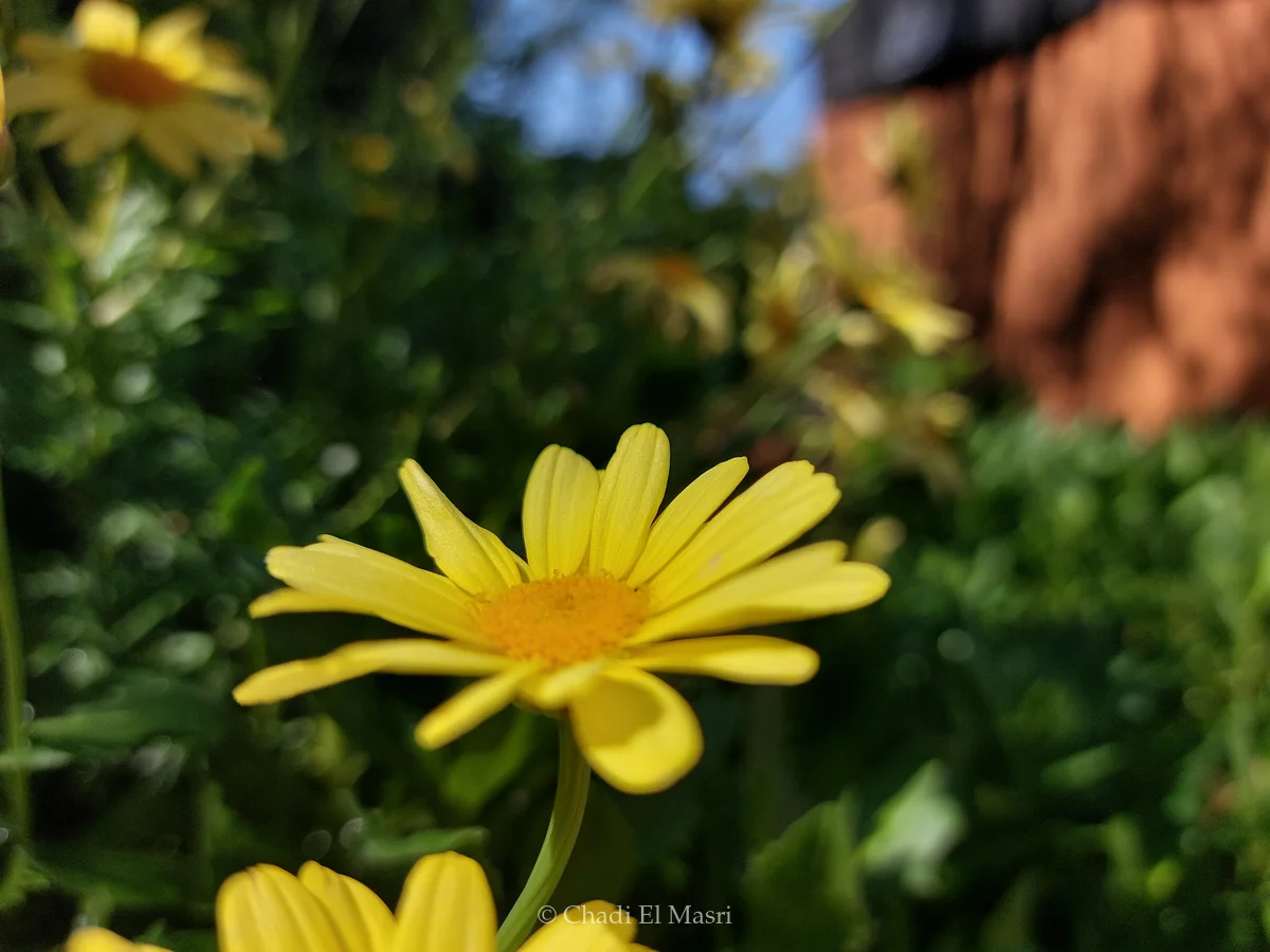 Photo from July 2, 2023