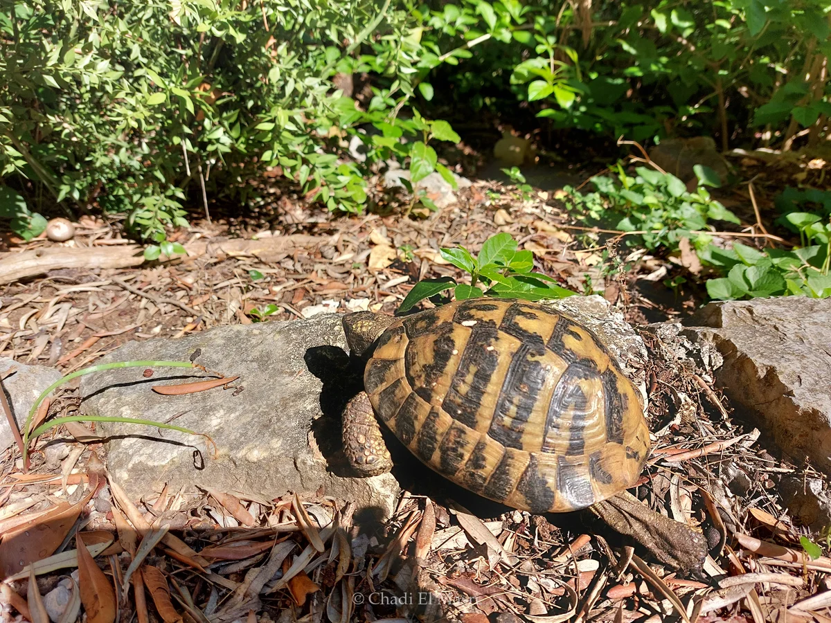 Photo from July 3, 2023