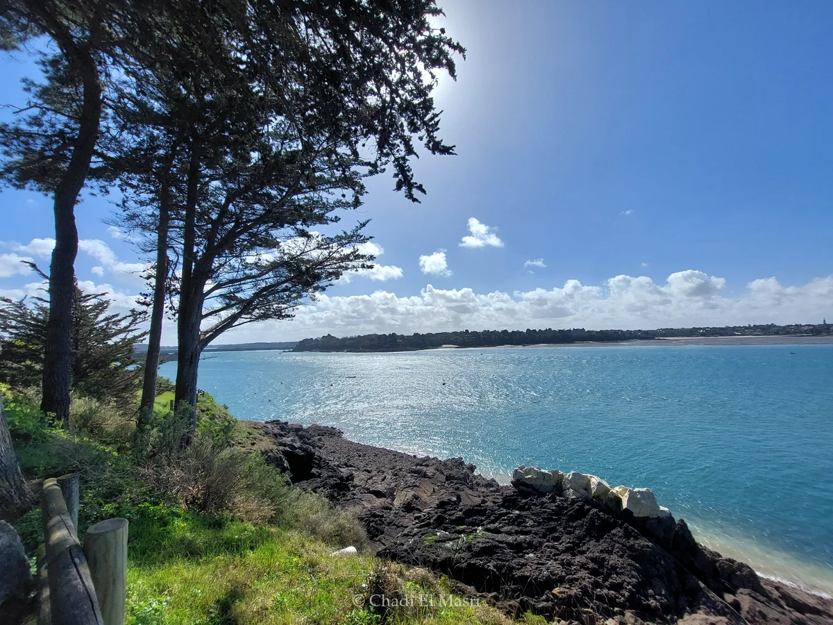 Photo from March 24, 2024