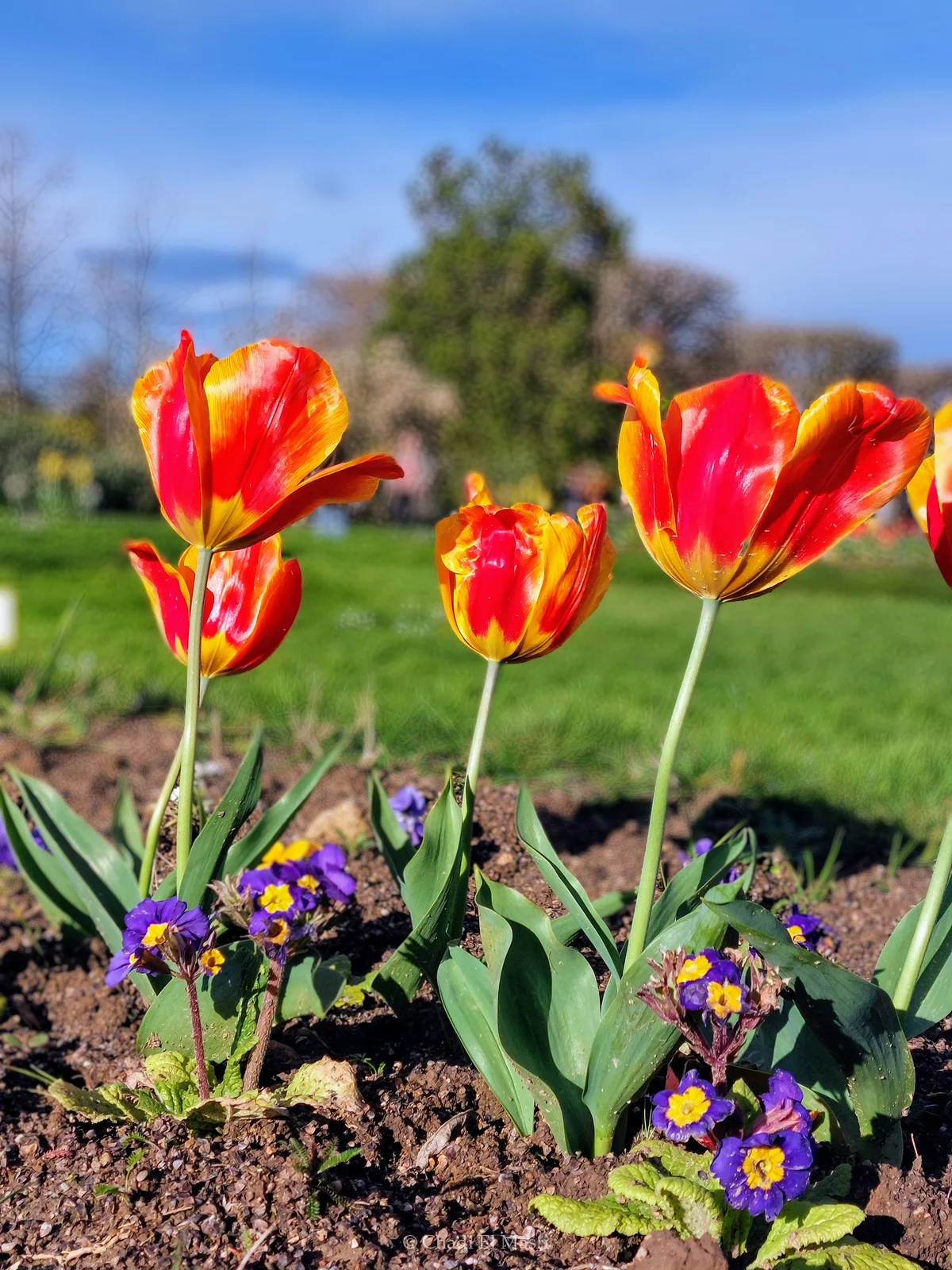 Photo from April 1, 2024