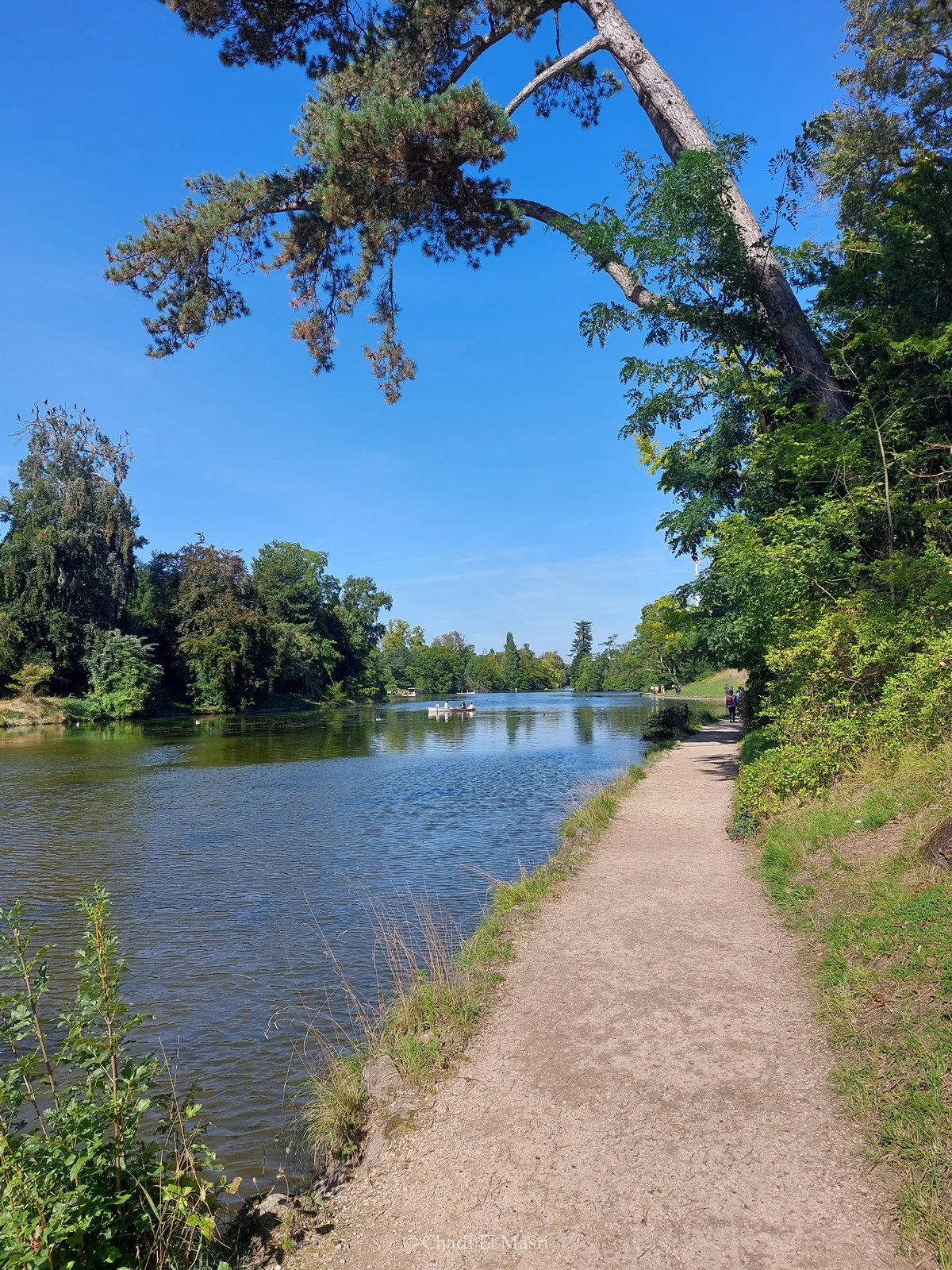 Photo from September 15, 2024