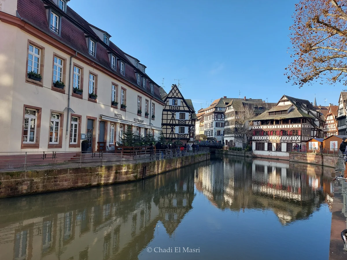 Photo from December 1, 2024