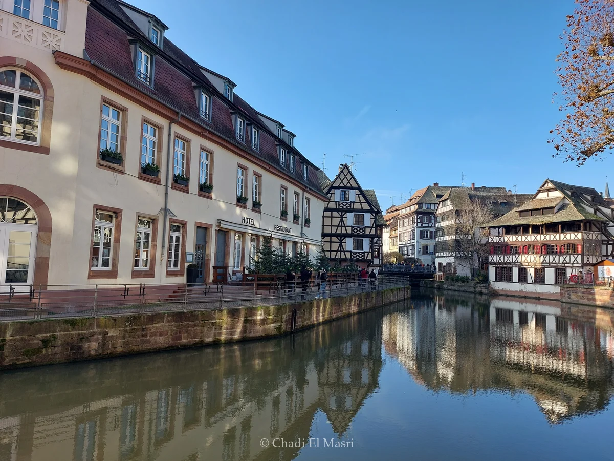 Photo from December 1, 2024