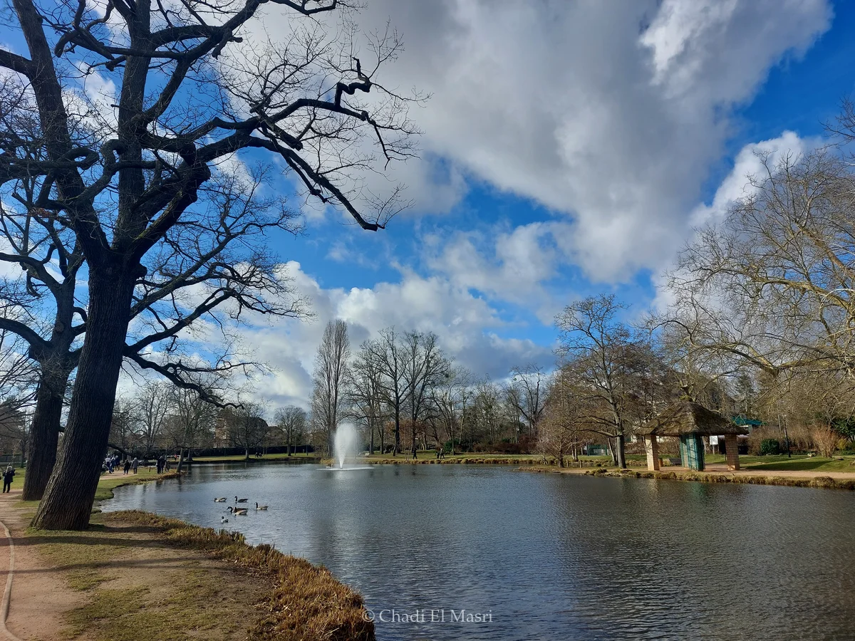 Photo from February 22, 2025