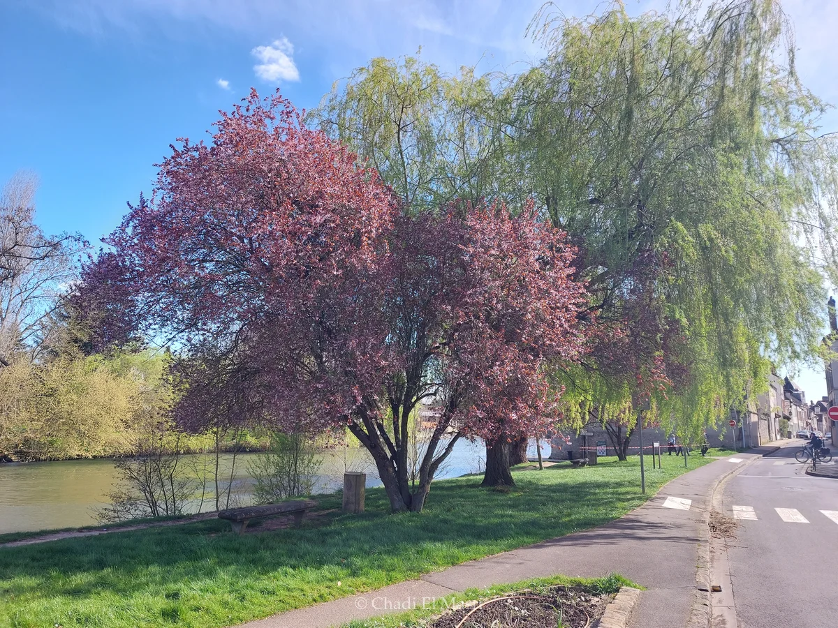 Photo from March 29, 2025