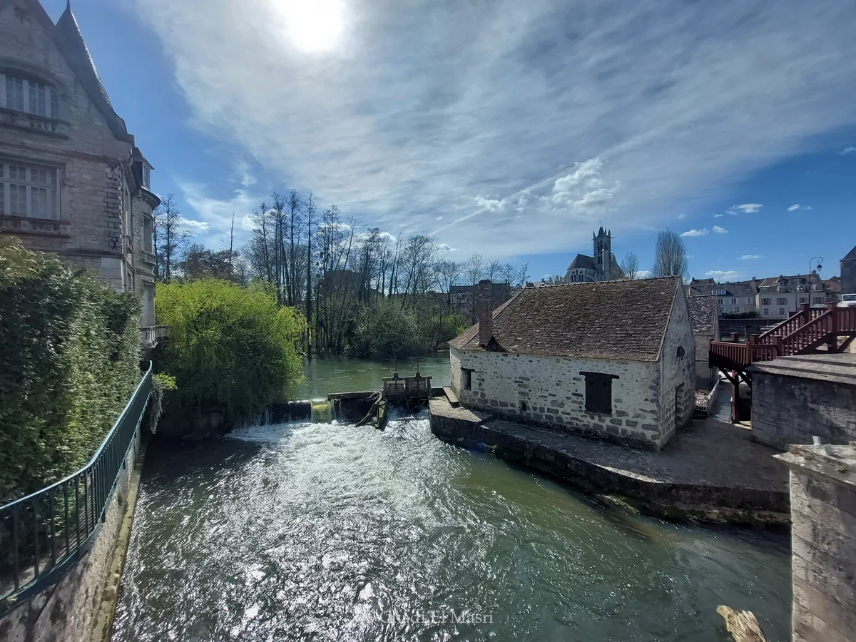 Photo from March 29, 2025