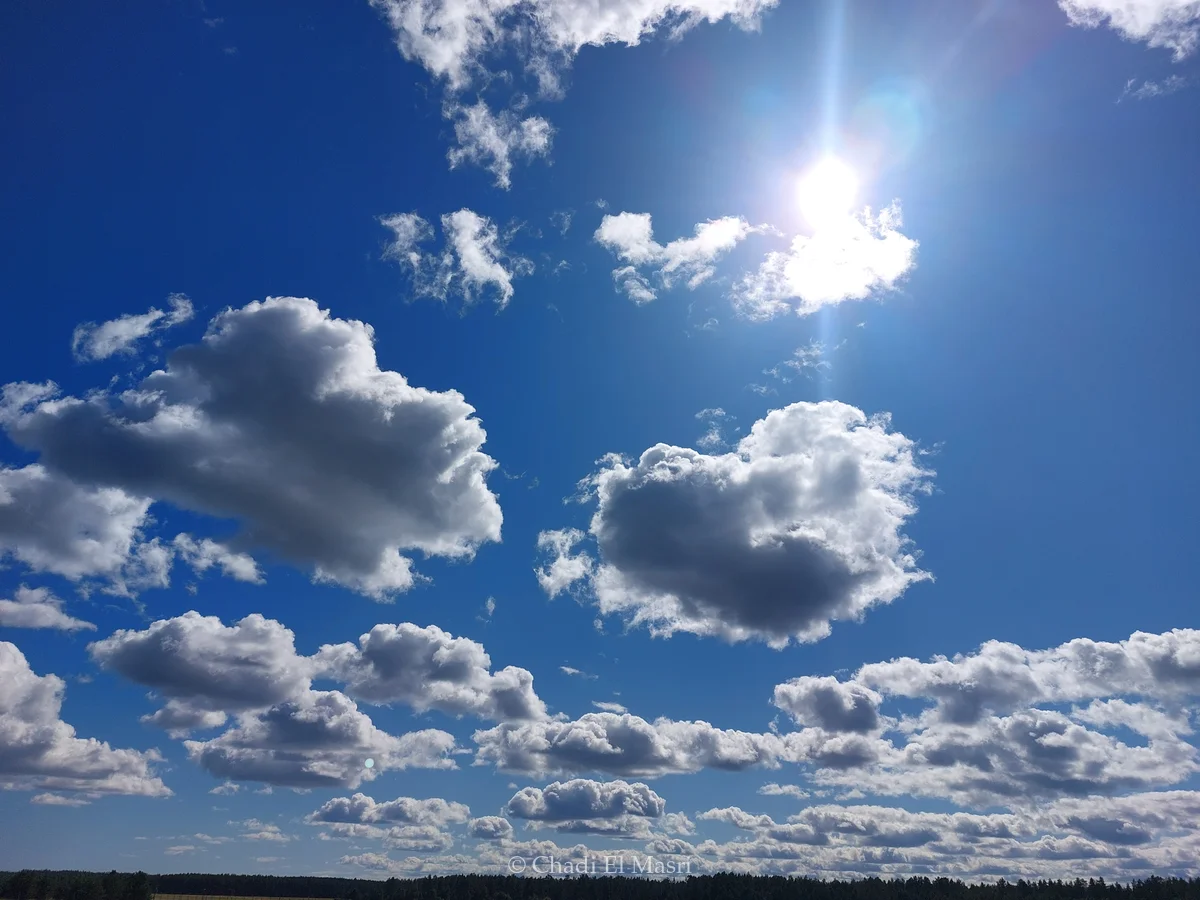 Photo from August 12, 2025