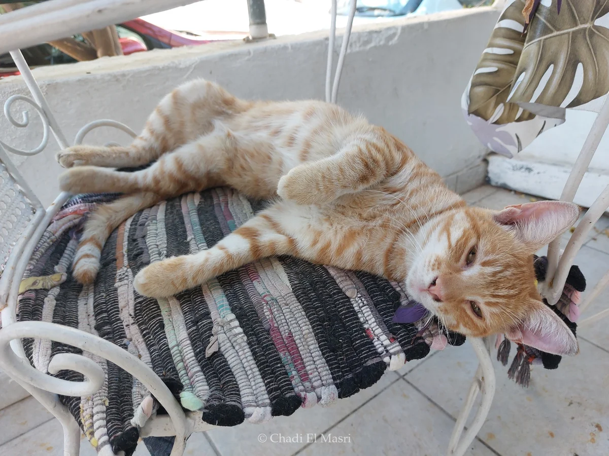 Photo from September 25, 2025